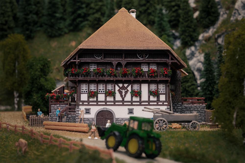 Jubiläumsmodell Schwarzwaldhof