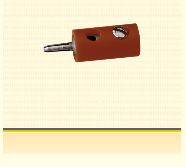 10 Querlochstecker, 2,5 mm, braun