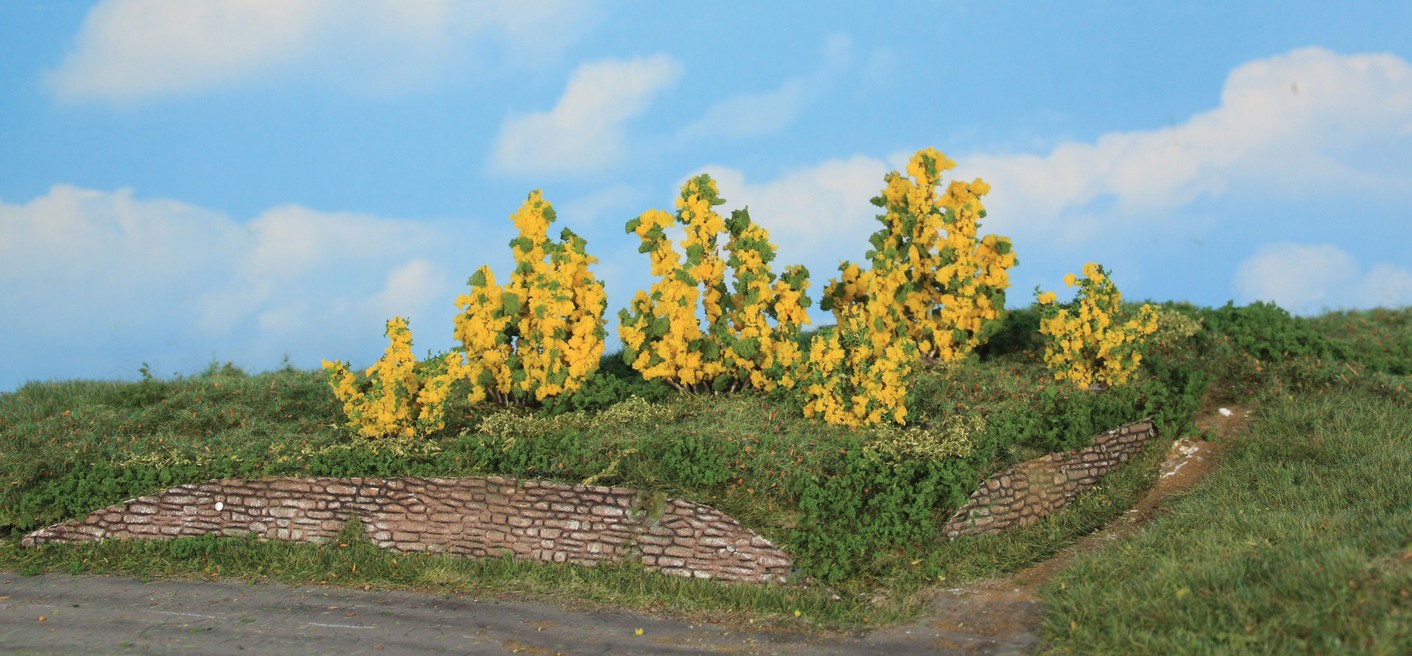 6 Forsythiensträcher 3-6 cm